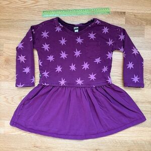 Tea Collection Purple Star Kids Dress (size 5)